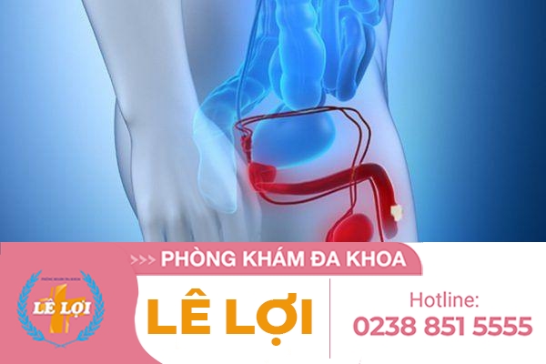 Những Bệnh Dương Vật Thường Gặp Mà Nam Giới Nên Quan Tâm