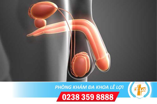 Suy tinh hoàn có gây vô sinh không ?
