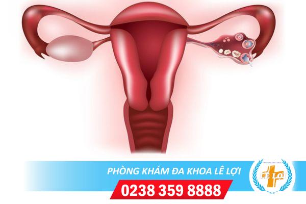 Thông tắc vòi trứng an toàn