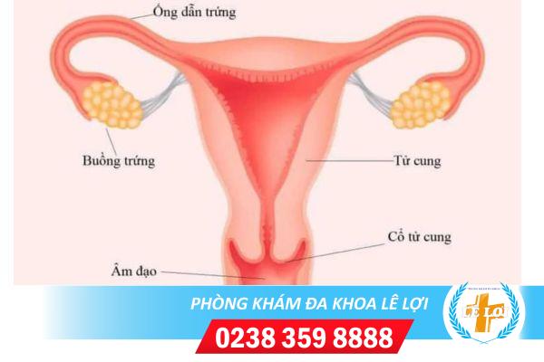 Tắc ống dẫn trứng điều trị như thế nào ?
