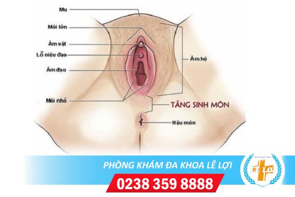 Phương pháp loại bỏ ap-xe tầng sinh môn – Liệu trình một lần duy nhất