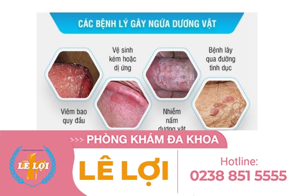 Hiện tượng bị ngứa dương vật và những kiến thức cần biết