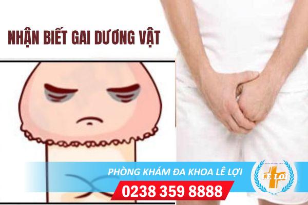 Gai dương vật là bệnh gì nguy hiểm không?