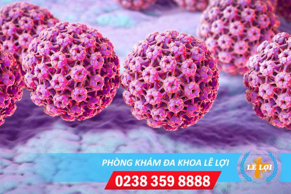 Vì sao bệnh sùi mào gà hay tái phát? Cần chú ý những điều sau để giúp giảm nguy cơ tái phát bệnh