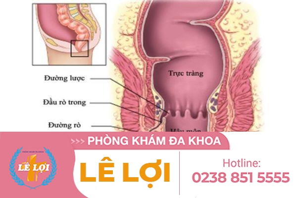 Bác sĩ hậu môn trực tràng giỏi ở Vinh Nghệ An